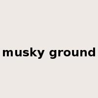 musky ground是什么意思