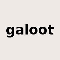 galoot是什么意思