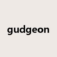 gudgeon是什么意思