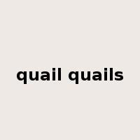 quail quails是什么意思