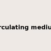 circulating medium是什么意思