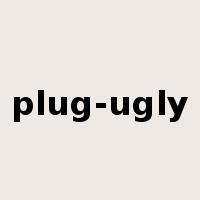 plug-ugly是什么意思