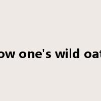 sow one's wild oats是什么意思