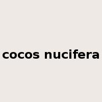 cocos nucifera