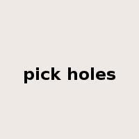 pick holes是什么意思