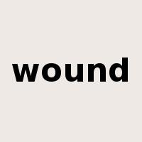 wound是什么意思