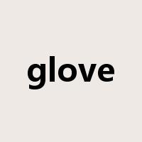 glove是什么意思