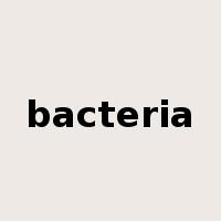 bacteria是什么意思