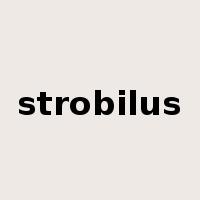 strobilus是什么意思