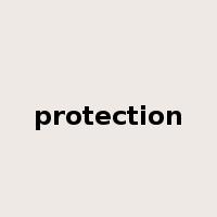 protection是什么意思