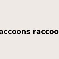 raccoons raccoon是什么意思