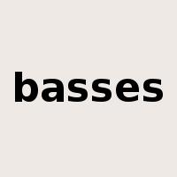 basses是什么意思