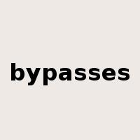 bypasses是什么意思