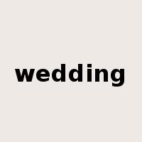 wedding是什么意思