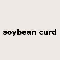 soybean curd是什么意思