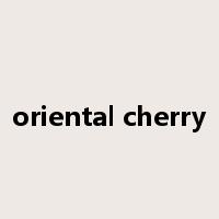 oriental cherry是什么意思