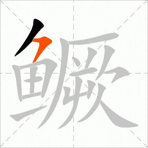 鳜