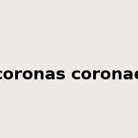 coronas coronae是什么意思