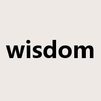 wisdom是什么意思