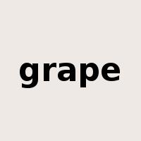 grape是什么意思