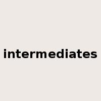 intermediates是什么意思