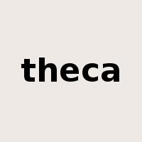 theca是什么意思