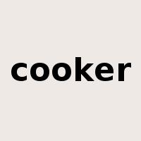 cooker是什么意思