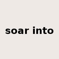 soar into是什么意思