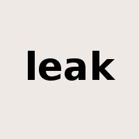 leak是什么意思