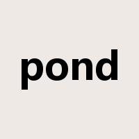 pond是什么意思