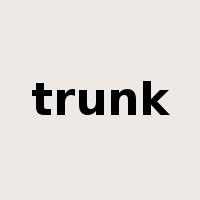 trunk是什么意思