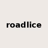 roadlice是什么意思