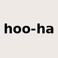 hoo-ha是什么意思