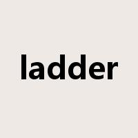 ladder是什么意思