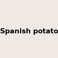 Spanish potato是什么意思