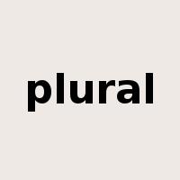 plural是什么意思