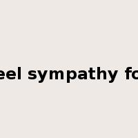 feel sympathy for是什么意思