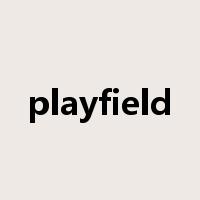 playfield是什么意思