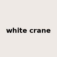 white crane是什么意思