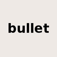 bullet是什么意思