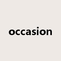 occasion是什么意思