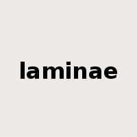 laminae是什么意思