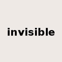 invisible是什么意思