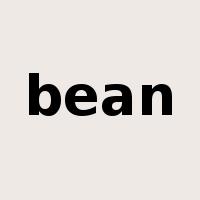 bean是什么意思