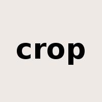 crop是什么意思