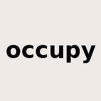 occupy是什么意思