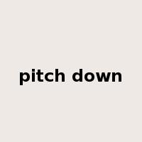 pitch down是什么意思