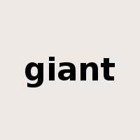 giant是什么意思