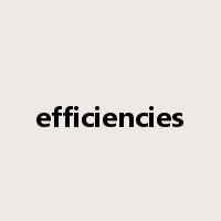 efficiencies是什么意思