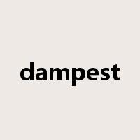 dampest是什么意思